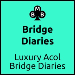 Bridge Diaries 2000
