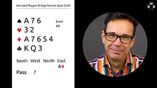 205 Novice Bidding Still S