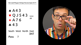 207 Novice Bidding Still S