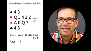 208 Novice Bidding Still S