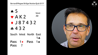 213 Novice Bidding Still S