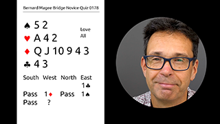 214 Novice Bidding Still S