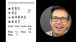 216 Novice Bidding Still S