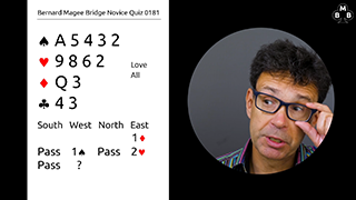 217 Novice Bidding Still S