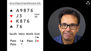 230 Bidding Quiz Still S