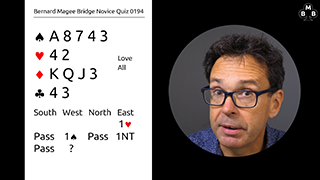 230 Novice Bidding Still S