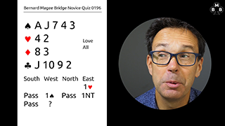 232 Novice Bidding Still S