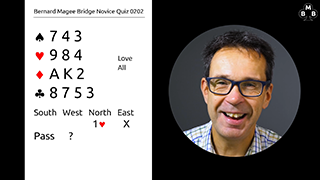 238a Novice Bidding Quiz