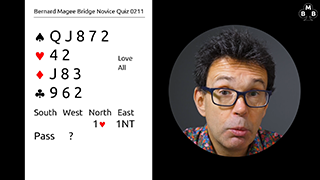 247a Novice Bidding Quiz