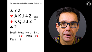 250a Novice Bidding Quiz